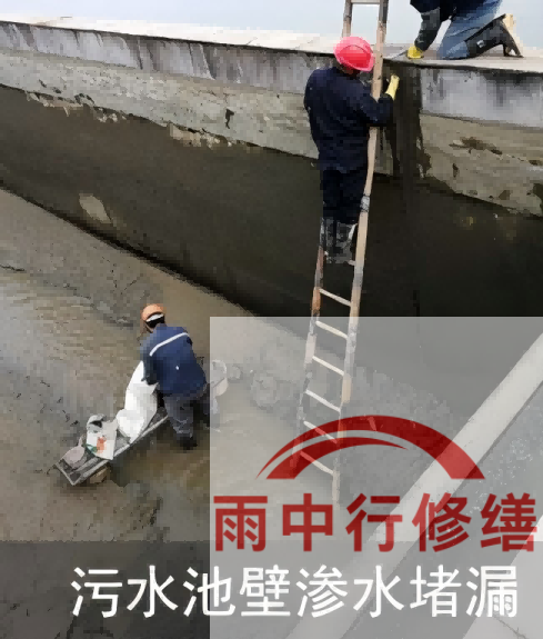 大兴2026年防水龙头半月两次涨价，行业格局重塑信号